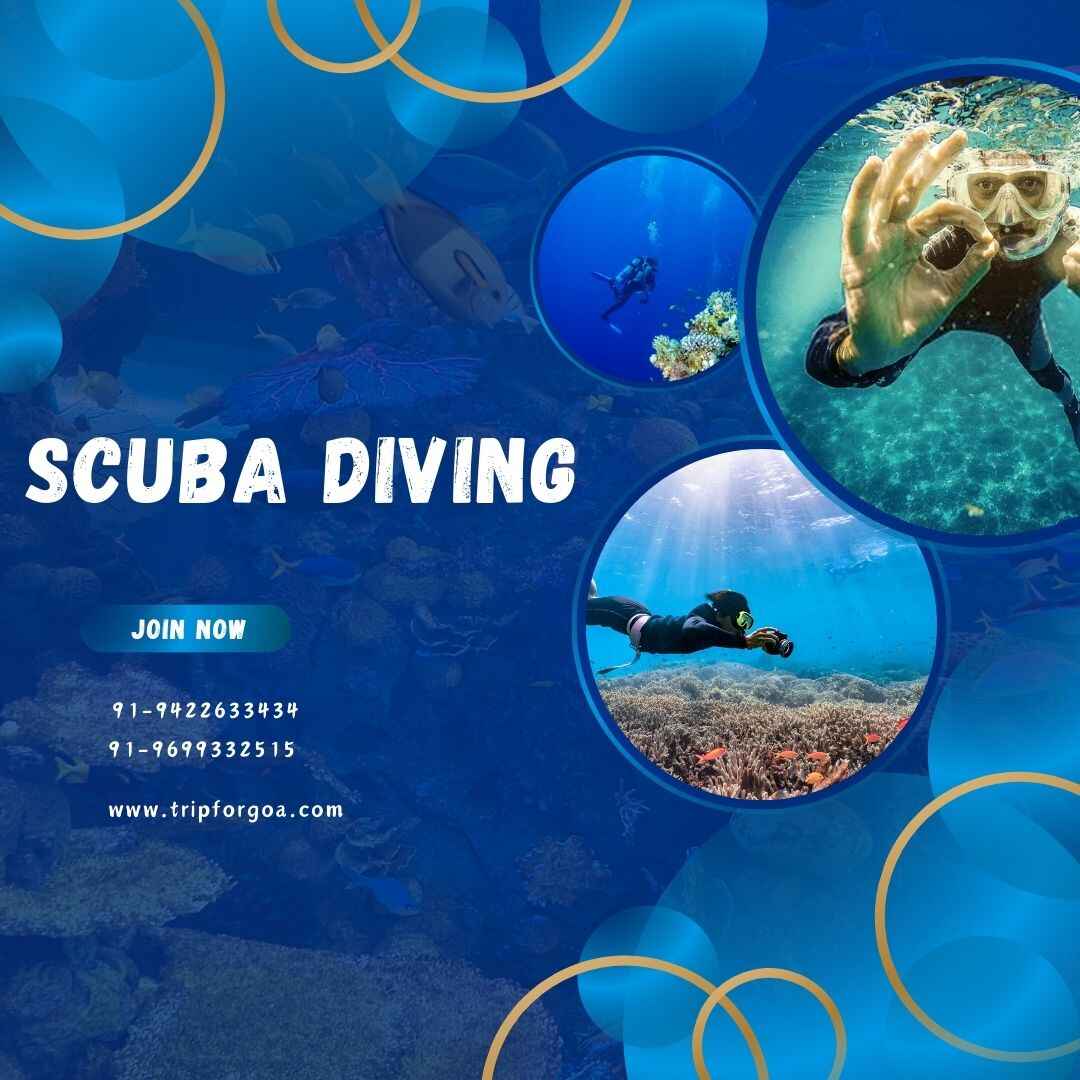 Scuba Diving Packege